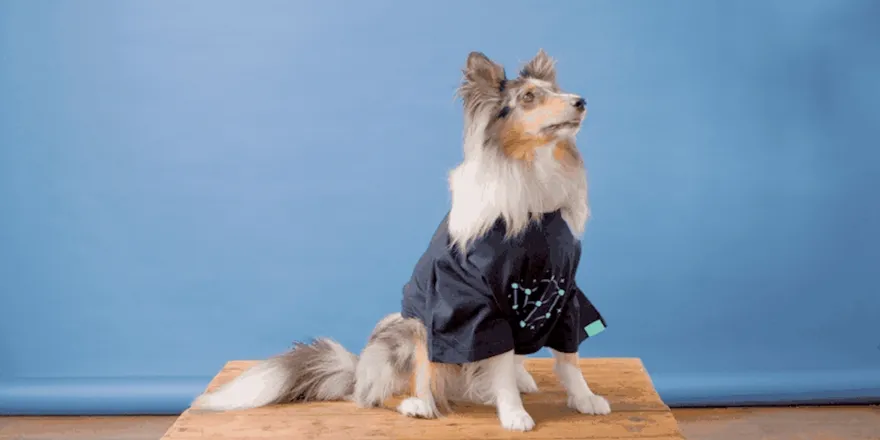 Oliver modelling the new Buildkite Constellation tee in navy